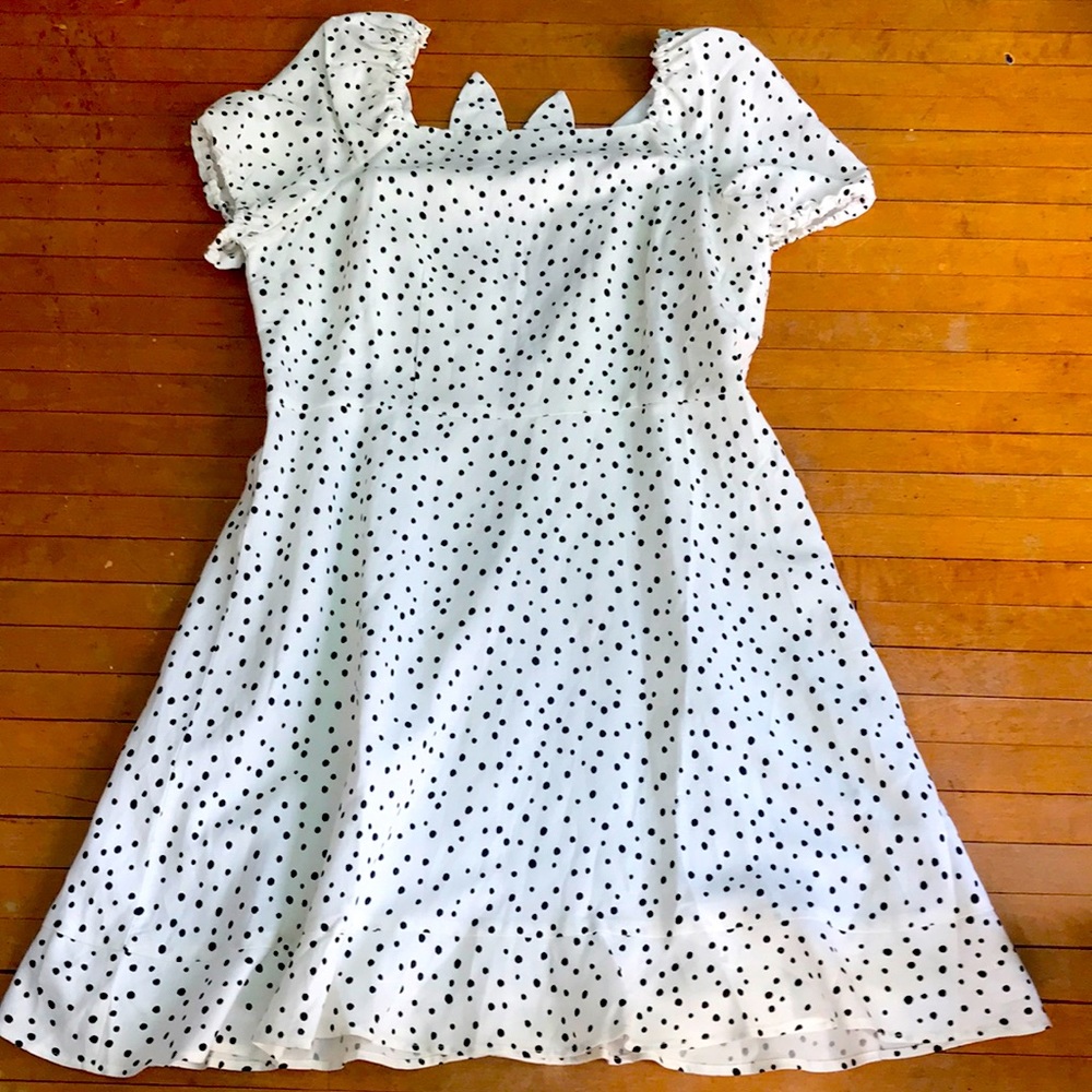 Loft Dottie dress, 12 - NWT - pinup, retro